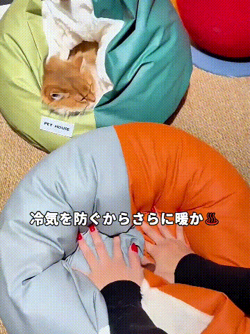 TikSao_76755888402.gif
