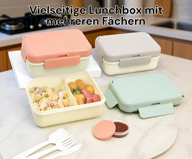 Lunchbox mit mehreren Fächern für Schüler