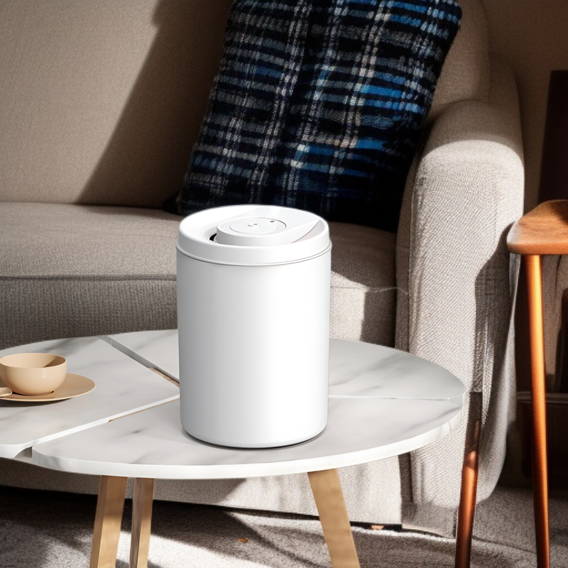 大容量靜音桌上型加濕器 雙模式氛圍燈