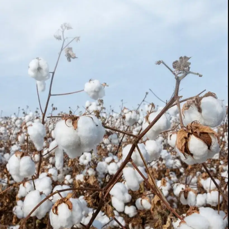 A類豆豆柔軟吸水多功能新生兒午睡蓋毯