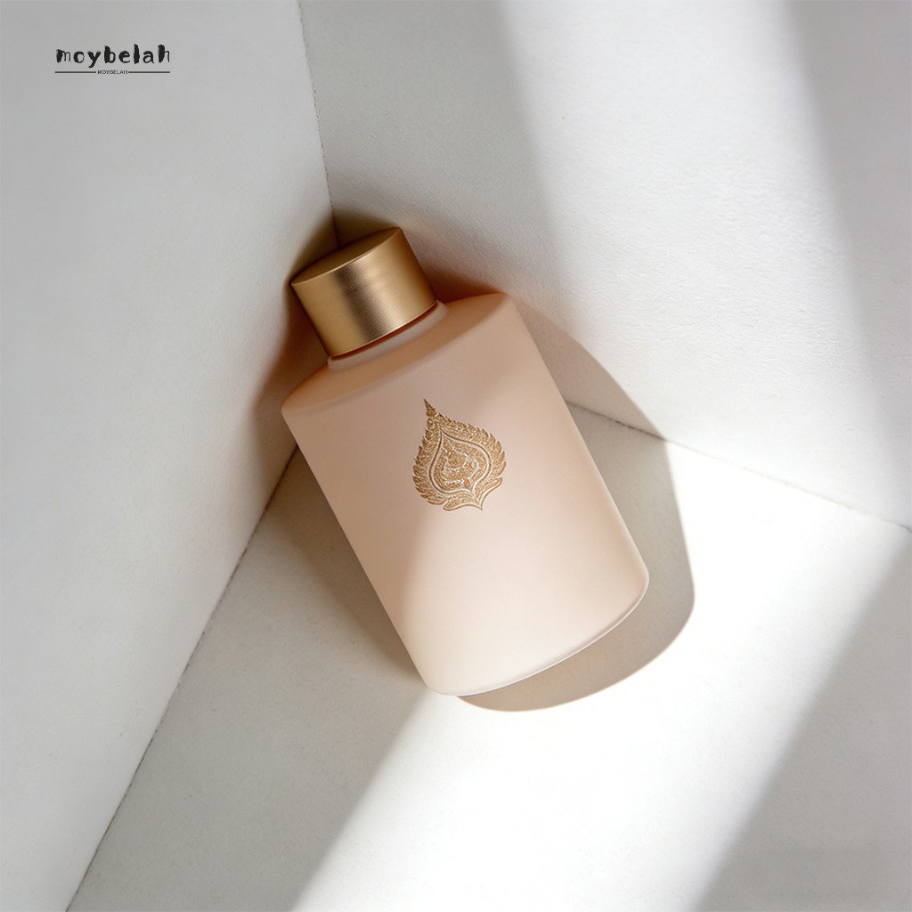 น้ำยาล้างรถอเนกประสงค์ ชุด 10 ขวด