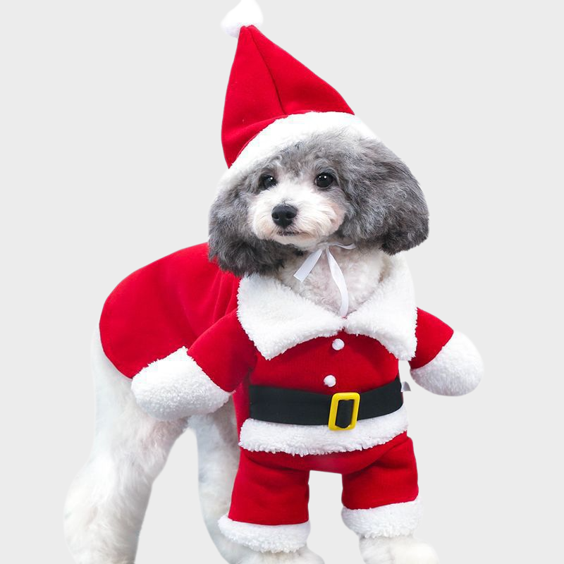 Warmes Weihnachtskostüm für Haustiere, Santa-Kleid für Weihnachten