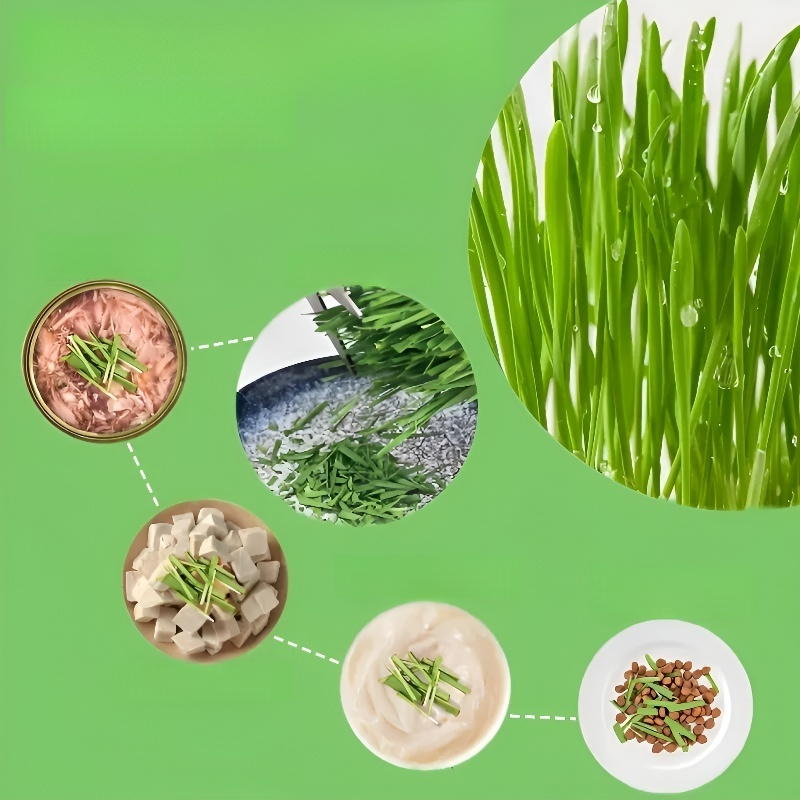 Bac à herbe à chat hydroponique sans terre