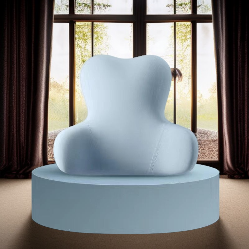 차량용 다기능 목베개 허리쿠션 목 허리 보호 쿠션