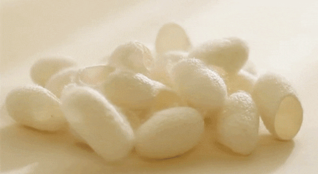 20ed5bb1ea279cfaabf4ac6b77974a72.gif