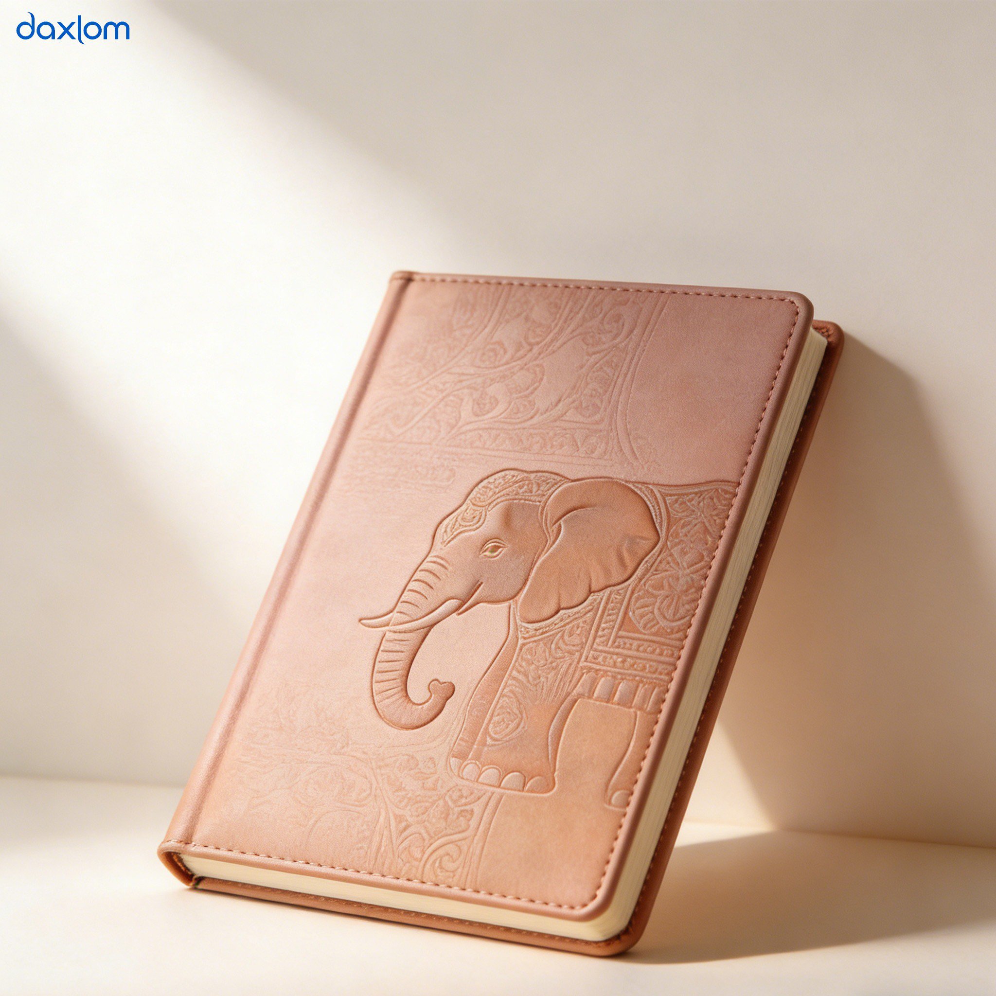 สมุดโน้ตหนังสุดหรู (แพ็ค 10 เล่ม)