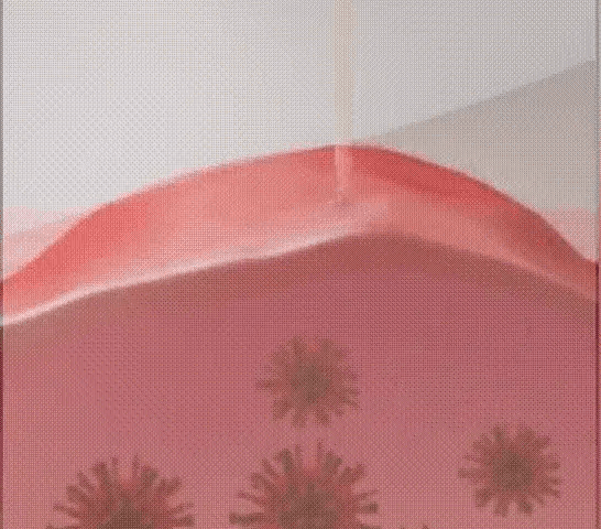 Honeycam 2026-07-10 15-16-35.gif
