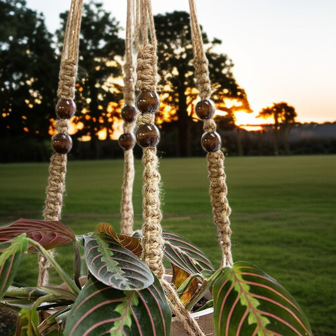 صناعة الأغذية والمشروبات في كوريا الشمالية.