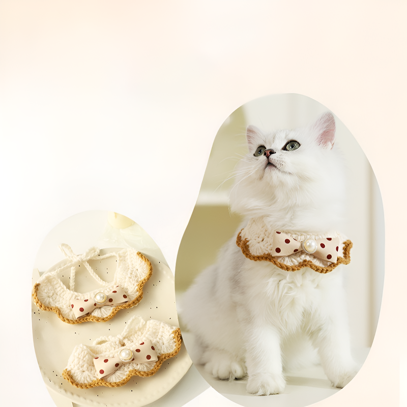 ปลอกคอแมวแฟชั่น สร้อยคอตกแต่ง