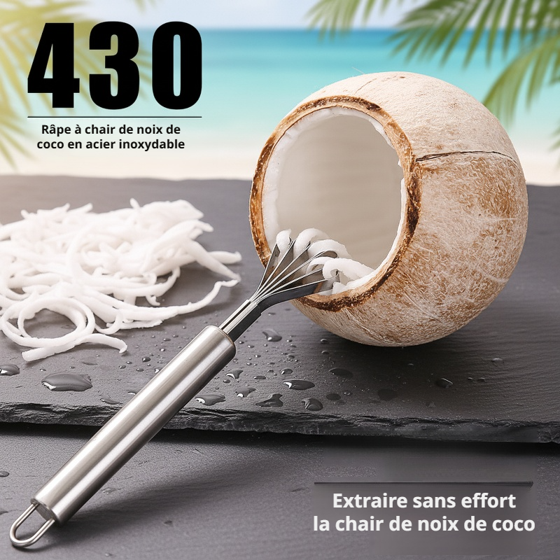 Râpe à noix de coco en acier inoxydable