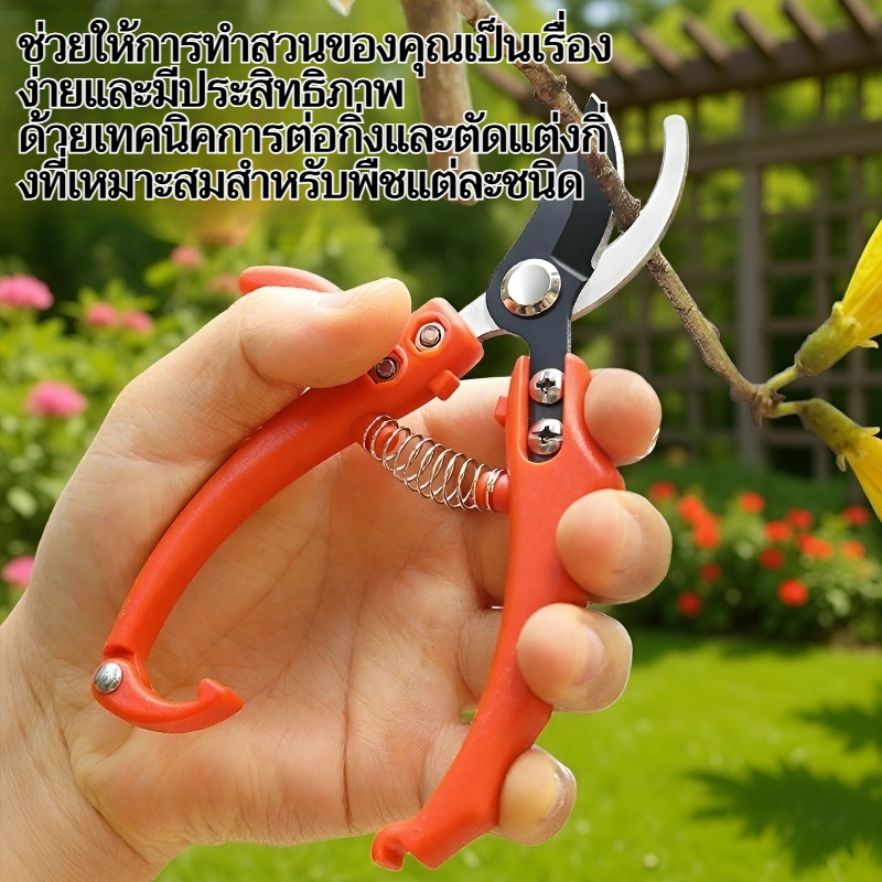การทำสวน การต่อกิ่ง การตัดแต่งกิ่ง