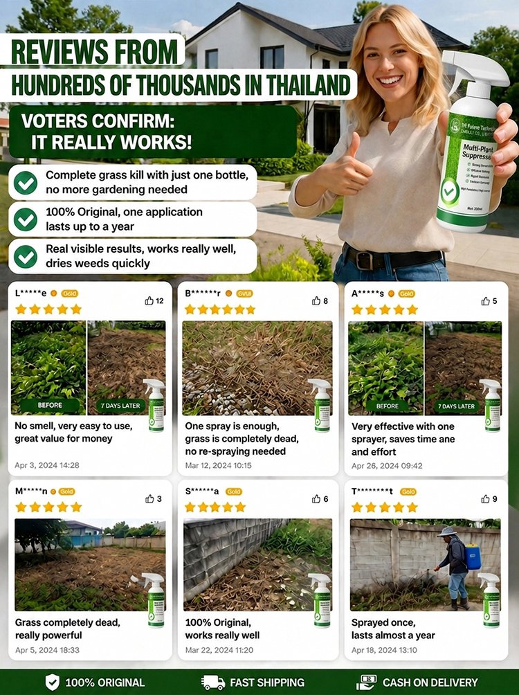 Fast-Acting Weed & Bamboo Removal Spray, 1 Application, 5 Years Weed-Free!