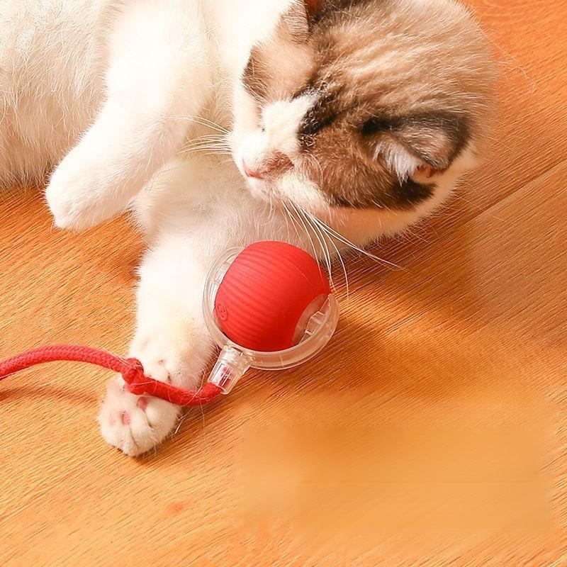 Intelligent electric pet teasing ball