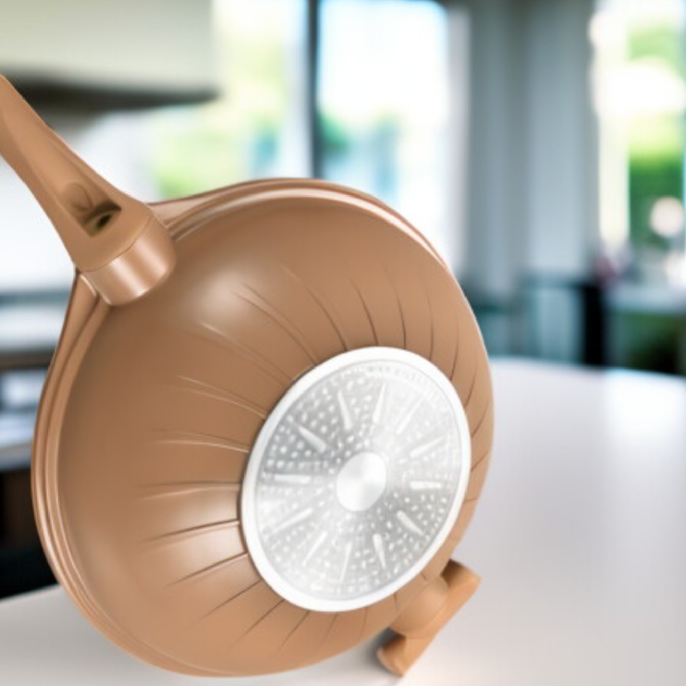 Olla de barro doméstica