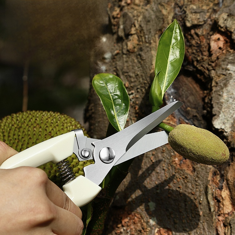 庭木剪定鋏 ガーデニング鋏 ガーデンフルーツ摘み取りハンドツール ガーデンツールフルセット