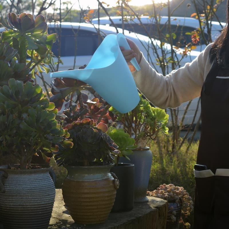 Macetas de plantas verdes domésticas para regar ollas de flores
