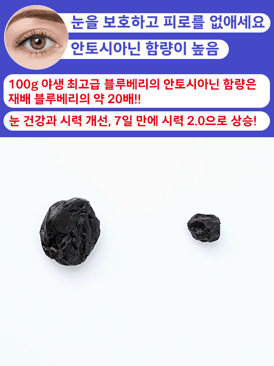무설탕 블루베리 야생 과일 말린 것 설탕 얼룩 큰 과일 노소 누구나 말린 것