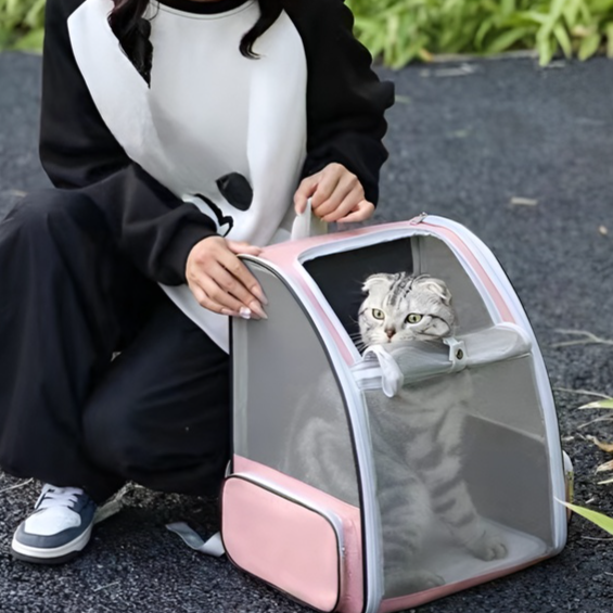 Faltbarer Leichter Rucksack