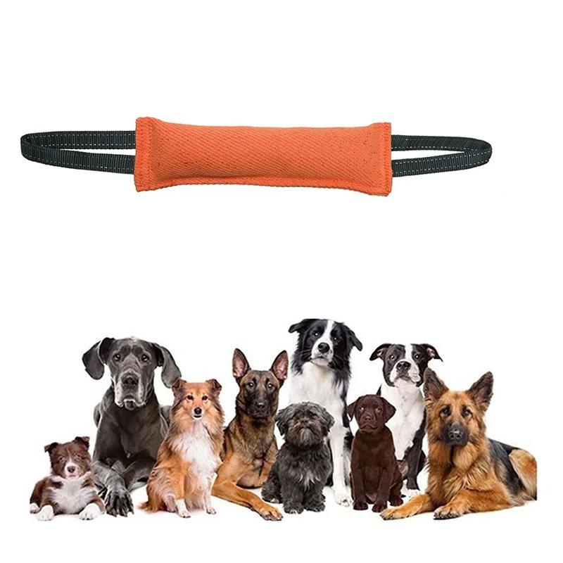 지속 훈련 애완동물 인터랙티브 장난감