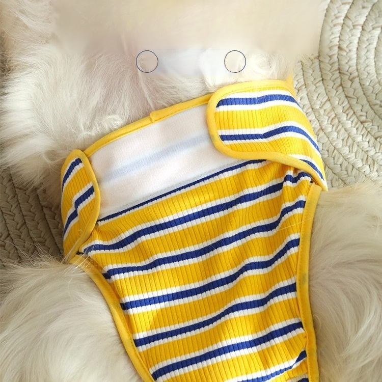 กางเกงในสำหรับสุนัขพันธุ์ลาบราดอร์ ตัวเมีย ช่วงมีประจำเดือน