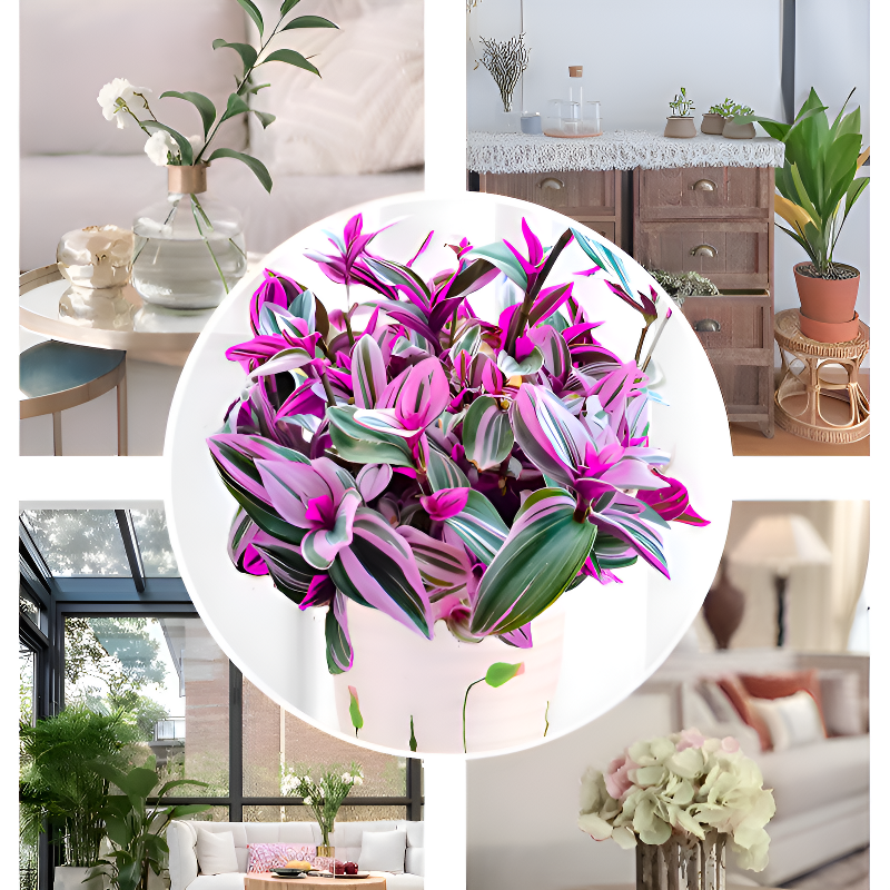 優雅油畫吊蘭室內花卉