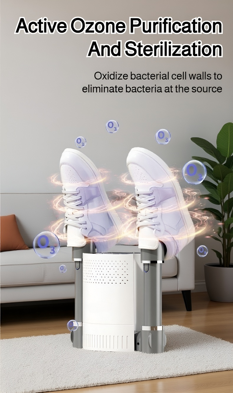 Portable shoe dryer for fast drying and deodorizing