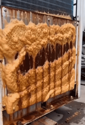 ebb7698b28969c07f4f28ca3e6e20c6c.gif
