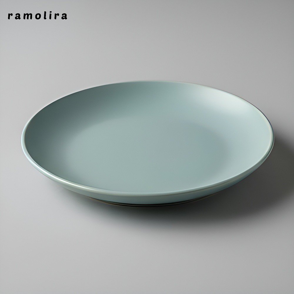 가정용 세라믹 평판 찬 접시 원형 접시 (10개)