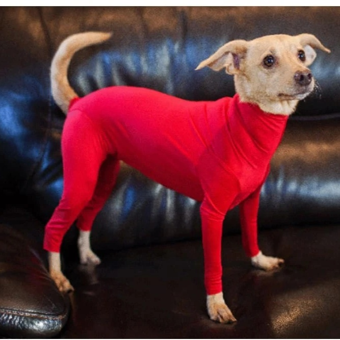 冬用防寒オールインワンペットウェア