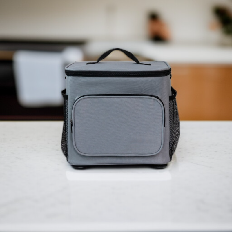  Insulated Lunch Tote Bag