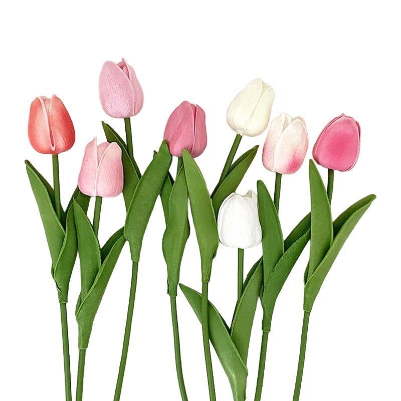 Tulpen Simulation Blumen Urlaub