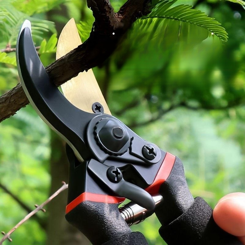 Garten- und Obstbaumscheren