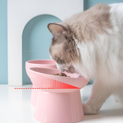 Schrägdesign-Keramiknapf für Haustiere, niedliche Einzel-Futterschale mit Nackenschutz