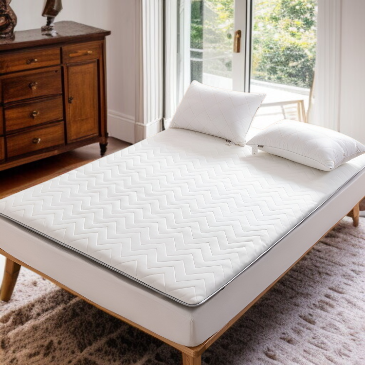 가정용 다다미 매트 콩 섬유 두툼한 침대 요 셋방 학생 기숙사 매트리스 라텍스 매트 다다미 매트