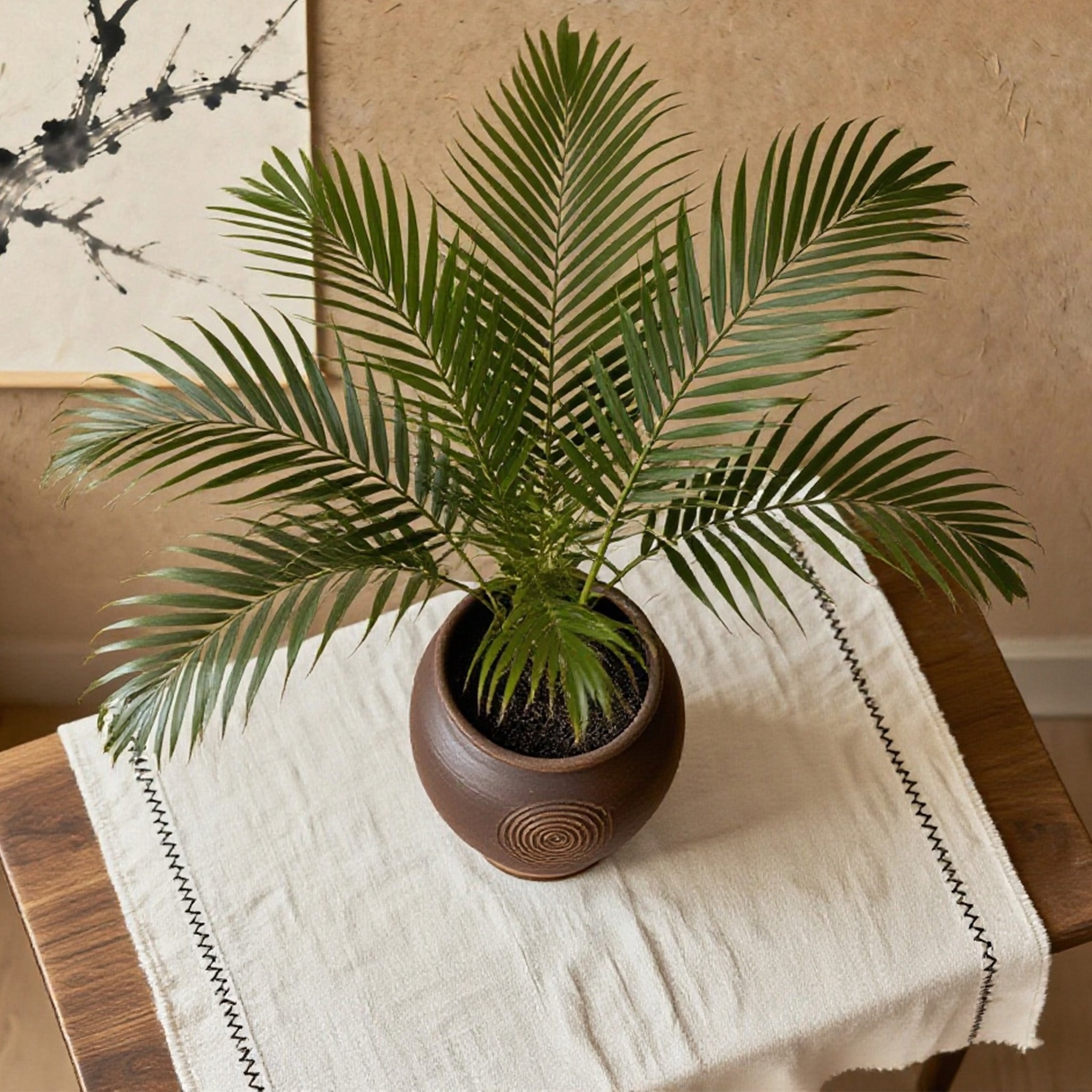 ต้นหมากเหลืองปลูกในกระถาง 