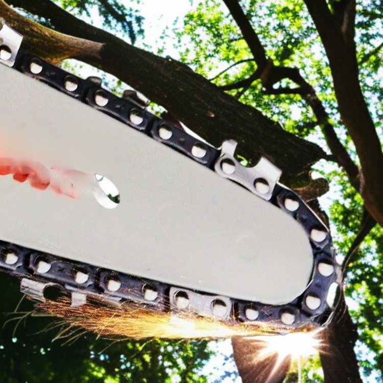 전동 가지치기톱으로 나뭇가지 절단