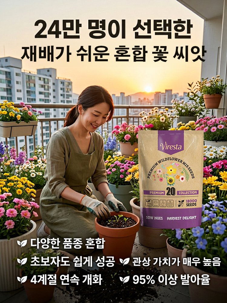 사계절 개화 혼합 색상 꽃씨, 연중 피어나는 꽃, 시들지 않아요