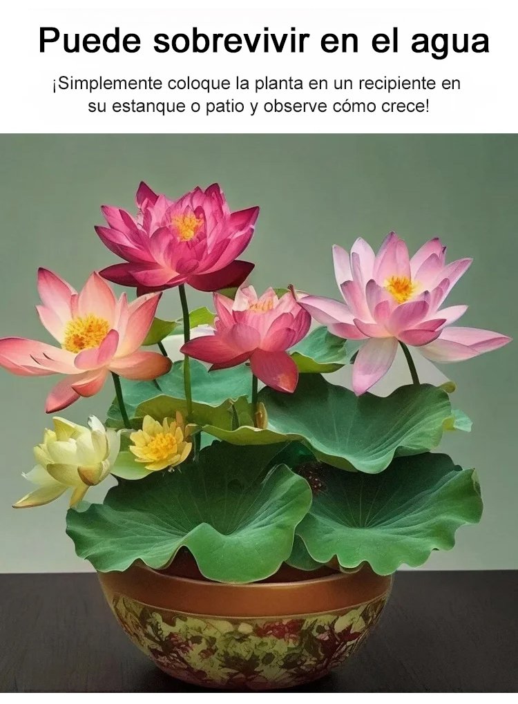 西班牙_11.jpg