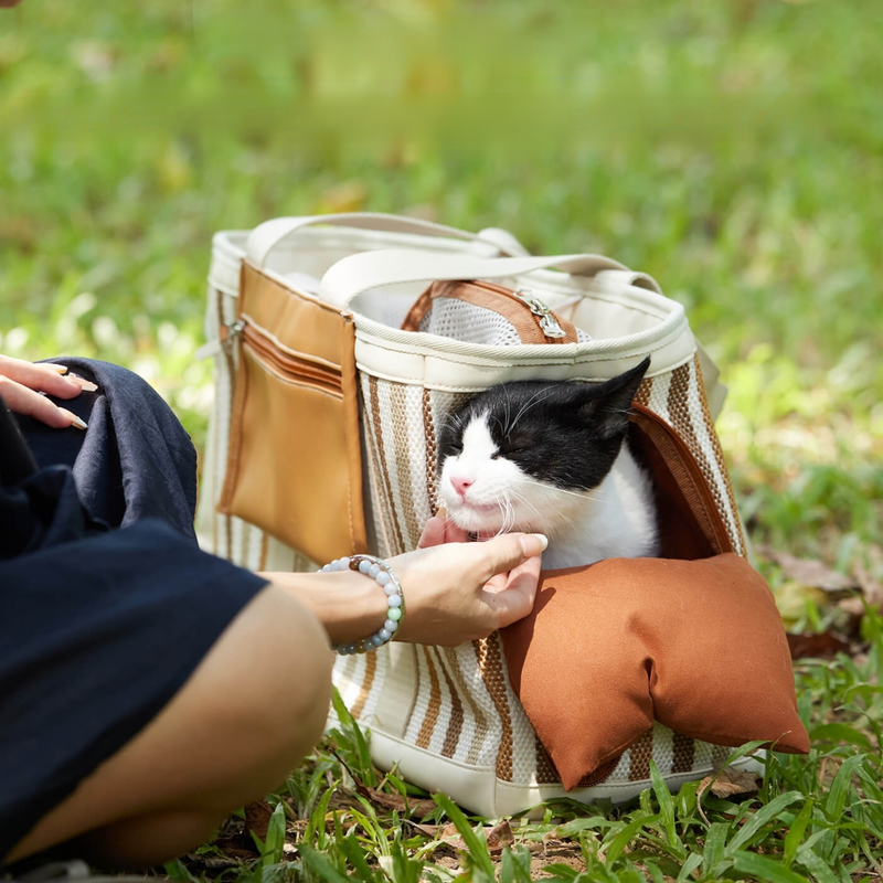 Pet Travel Portable Carrier Bag