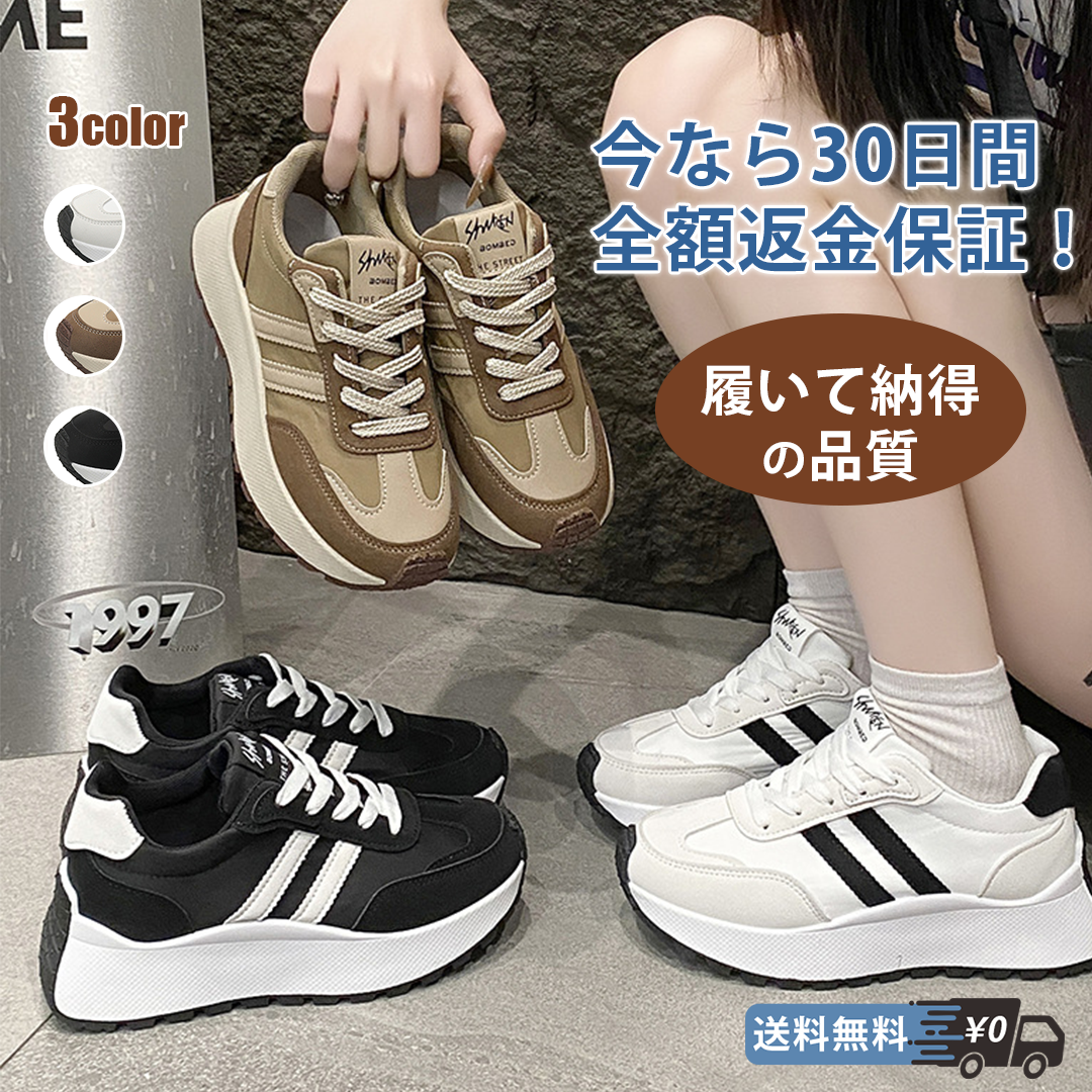 画板 5.png