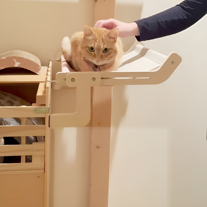 吊り下げ式猫ベッド