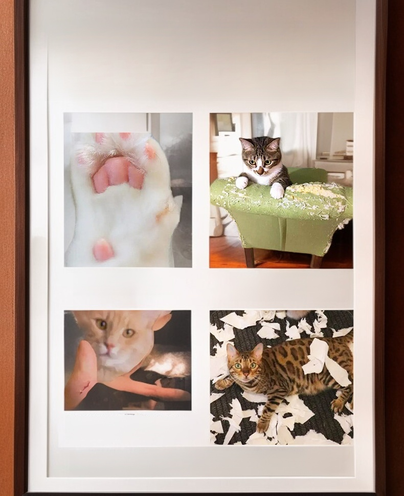 لوحة خدش القطط على شكل رأس أكورديون