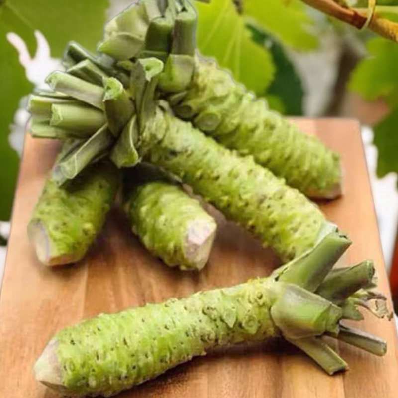 Senfsamen für den Hausgarten