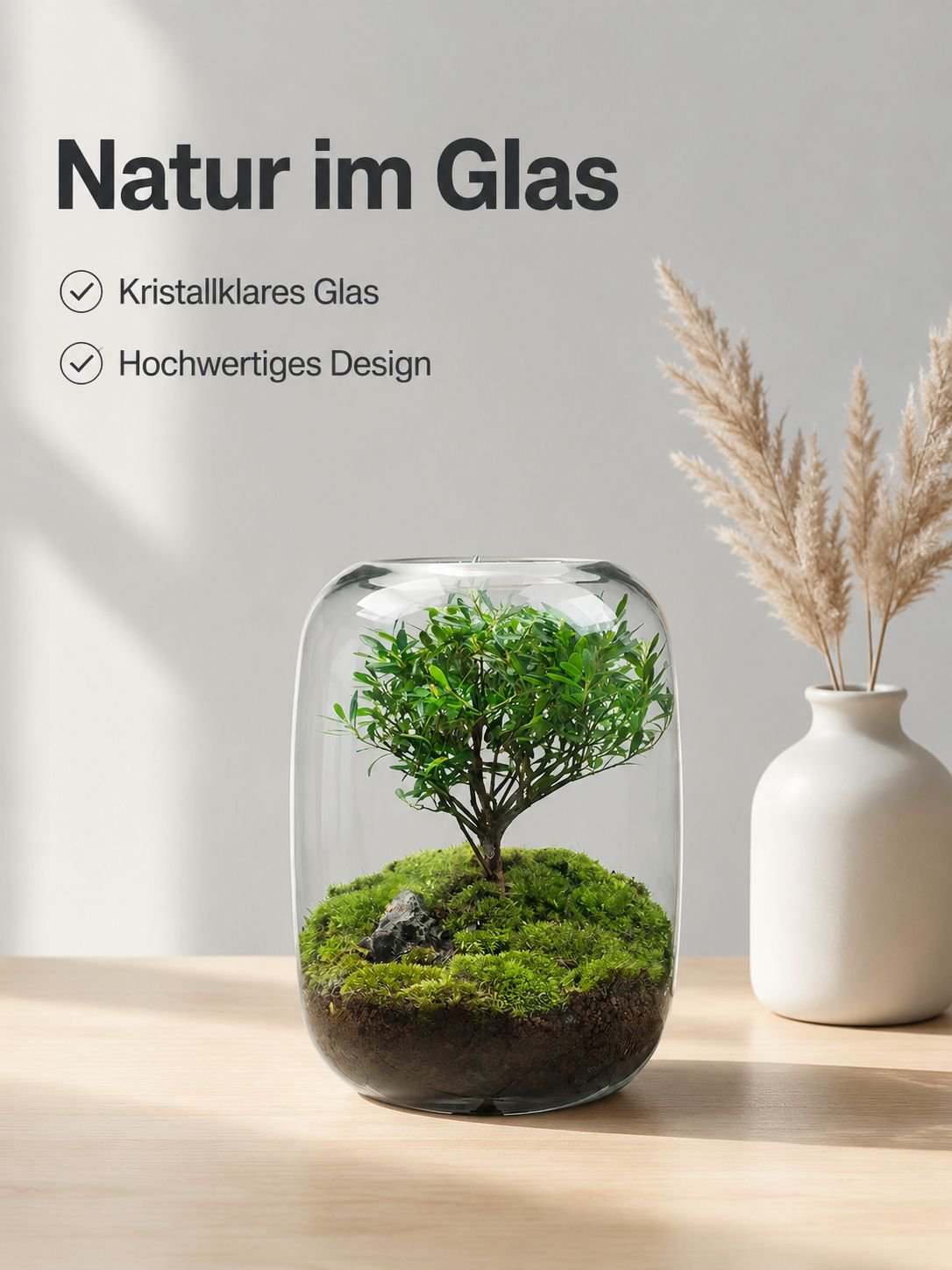 Tischpflanzen Mini-Ökosystem-Flasche
