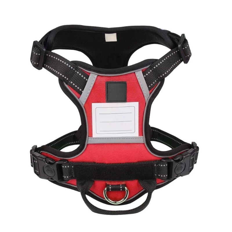 Anti-Reflective Escape-Proof Harness