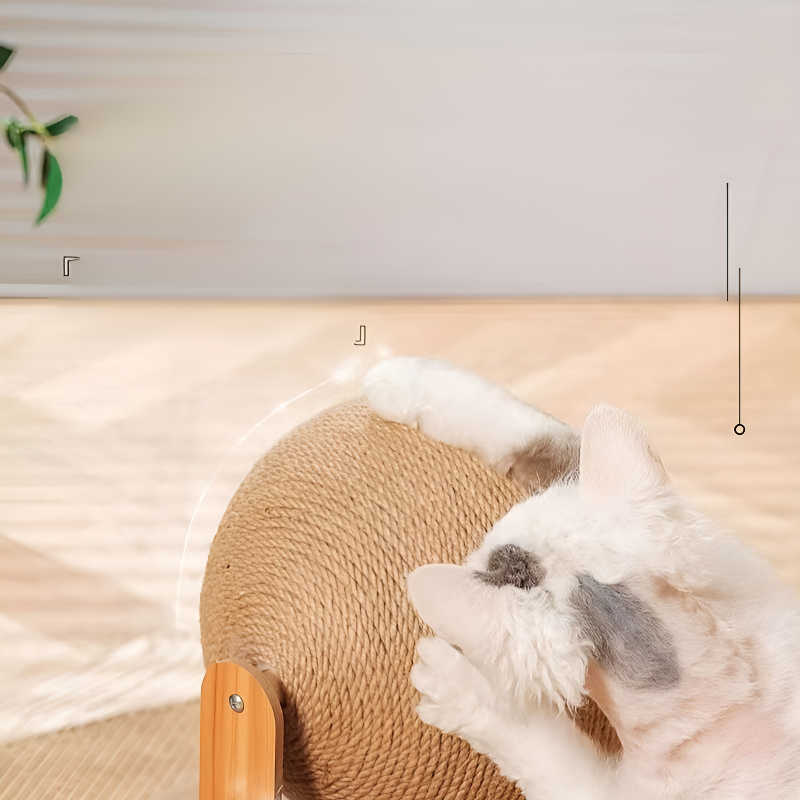 ของเล่นแมวแบบแท่นพร้อมลูกบอลแม่เหล็ก