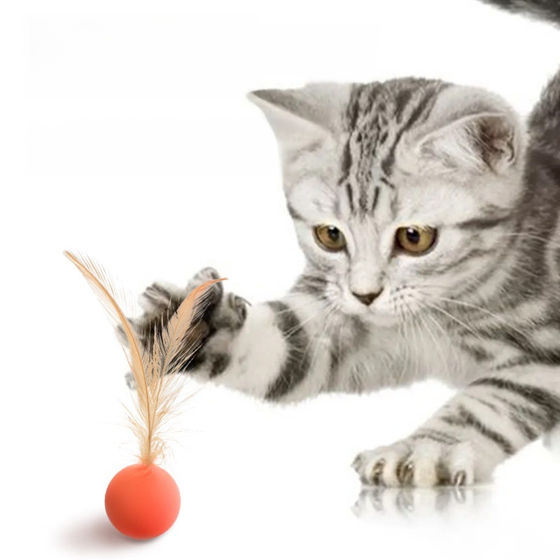 Interactive Feather Bouncing Ball for Cats