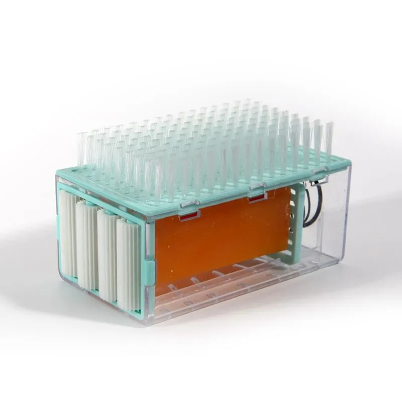 일체형 세탁브러쉬 물빠짐 수납함 속옷 양말 전용 손빨래 필요없는 브러쉬