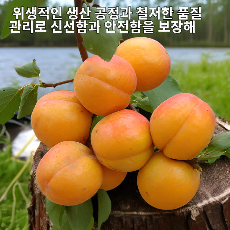 엄선된 가행 산살구씨