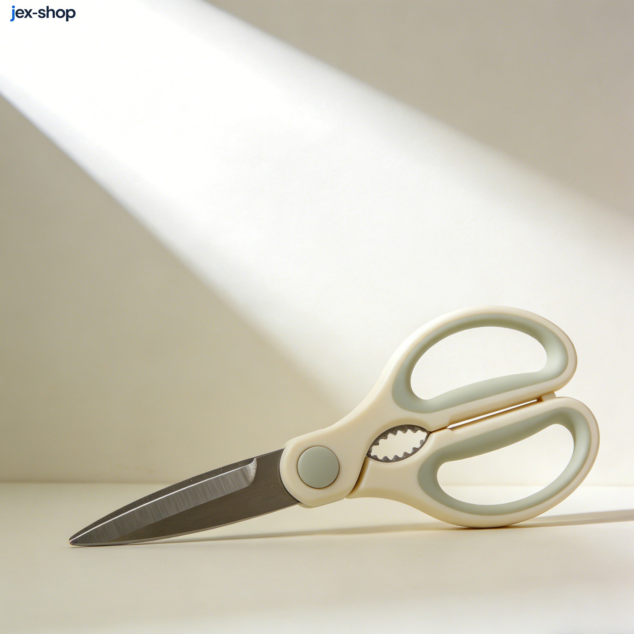 廚房剪刀（5把）